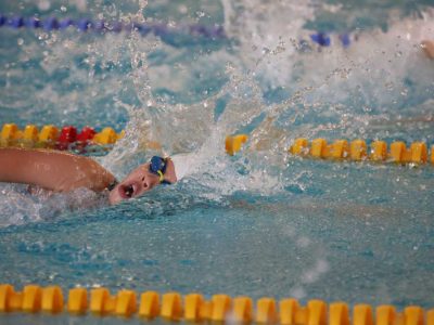 dresdner-delphine-wasser-verein-schwimmen