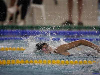 herbstschwimmfest-dresdner-delphine-schwimmen-wettkampf-2022-1