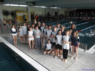 sprintpokal-dresdner-delphine-wettkampf-schwimmen-2023